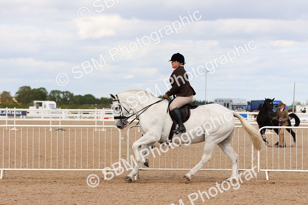 SBM_15505 - Class 214 - Ridden Show Cob