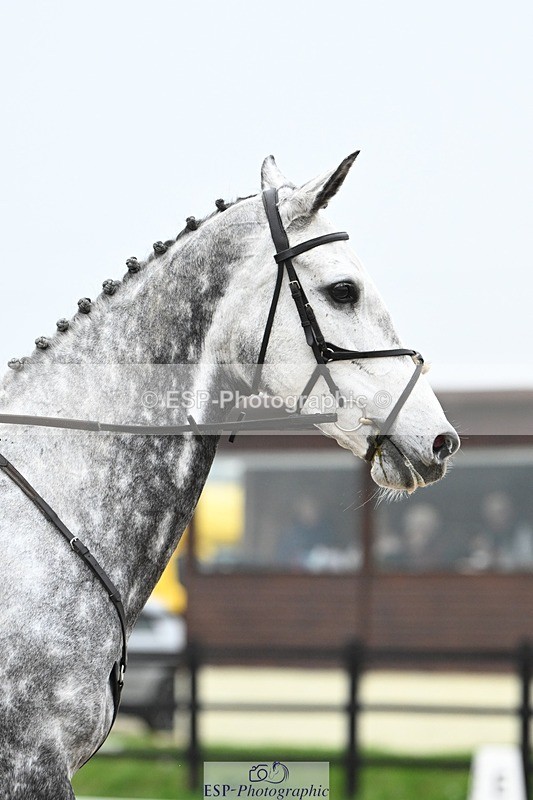 241103-101231-00291 - Intro 3 - 9.40 to 10.40