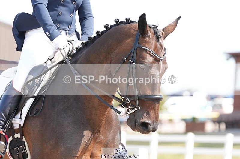 250817-114850-08902 - 140-Jane.GregoryRUTHIES.DREAM