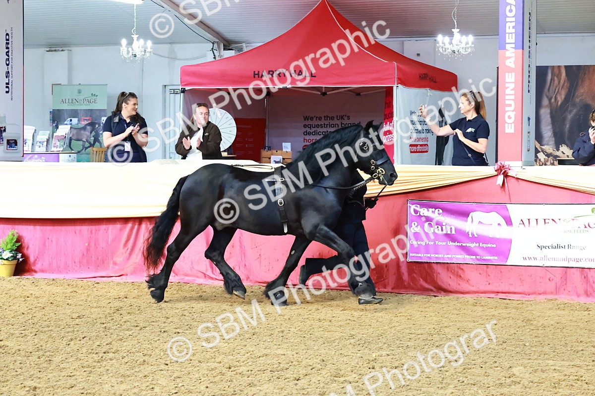 SBM_22438 - Class 902 - Supreme Final - IH Diamond