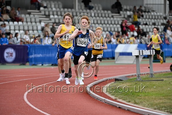 _Z921135 - Field Male