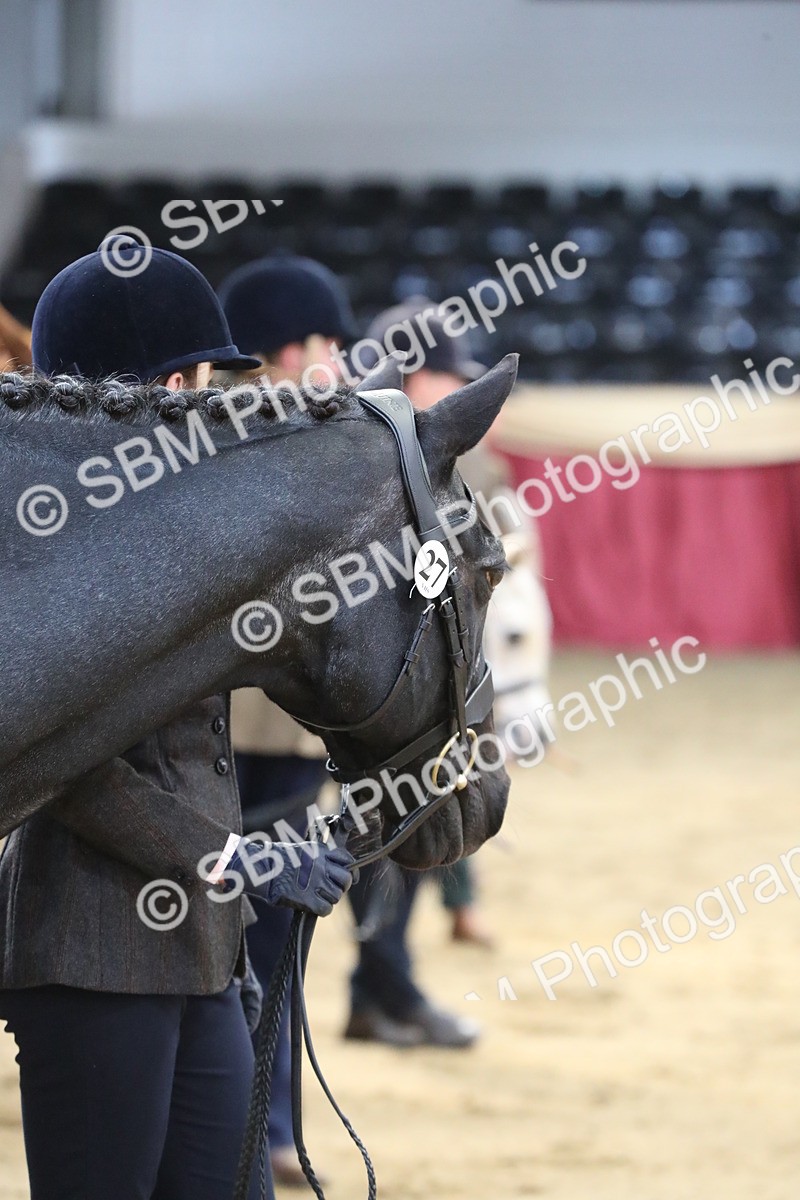 SBM_04415 - Class 7R Regional - IH Diamond