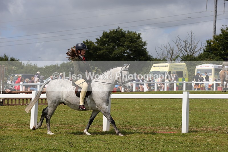 1X9A3998 - Class 32: Show Hunter Pony 153cm and under