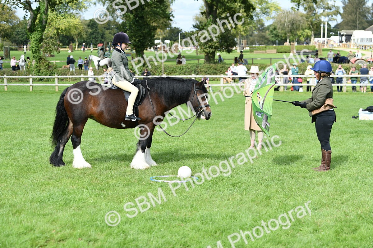 SBM_46926 - S12 - Family Horse & Pony