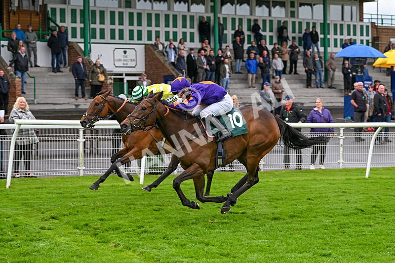 230524-Race 8-Miss Calculation-2189