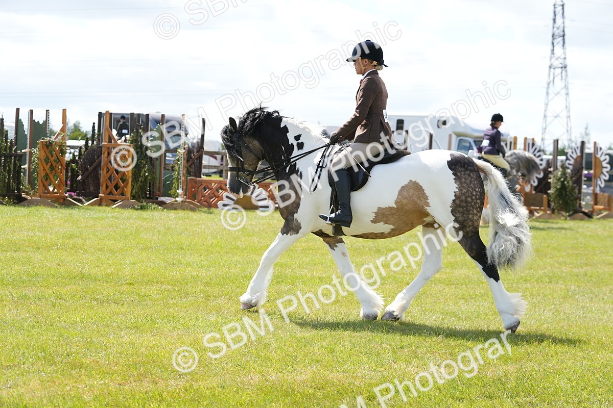 SBM_17142 - Class 107-108 - LIHS BSPS Performance Coloured Horse Pony