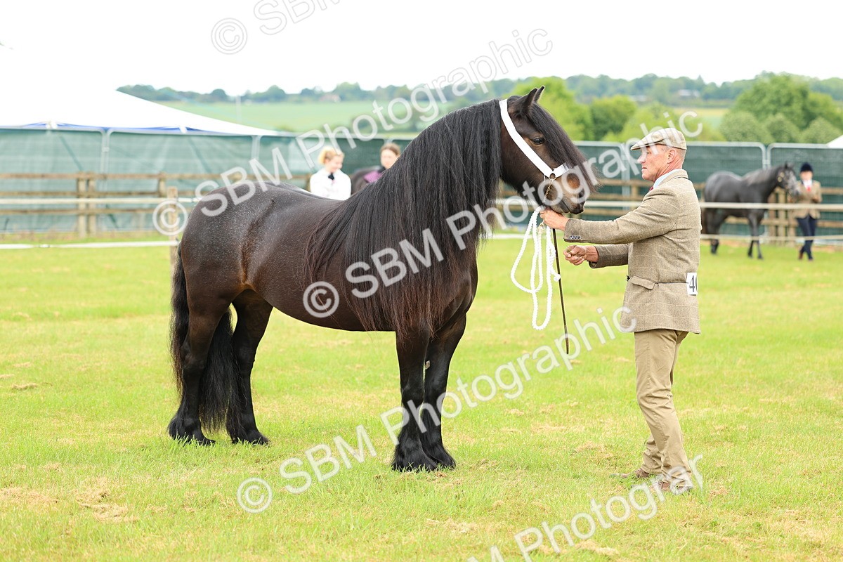 SBM_00549 - Class 58-67 - M&M Non Welsh Pony In hand