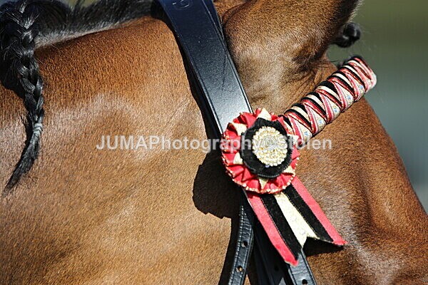 SIAL5846 - Ring 1 & 3