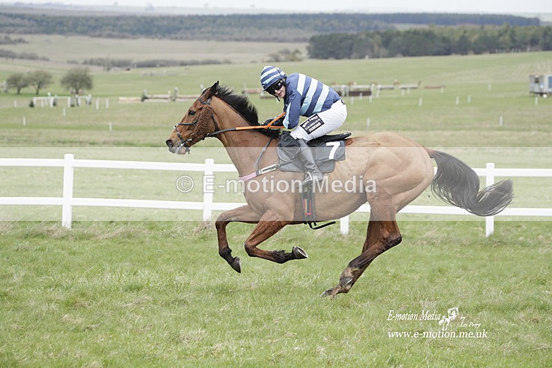 PtP 260323 0528 - New Forest Hounds Point-to-Point Larkhill 26/03/23