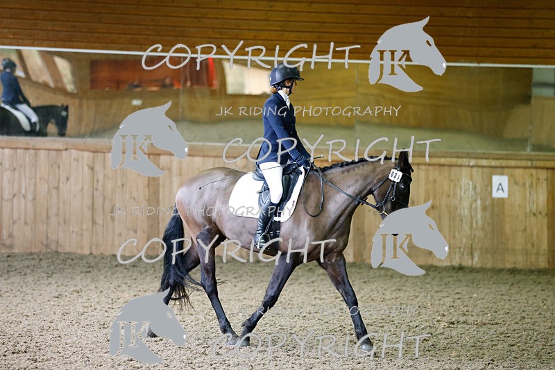 _R6A2981 - Class 4 Novice 2020