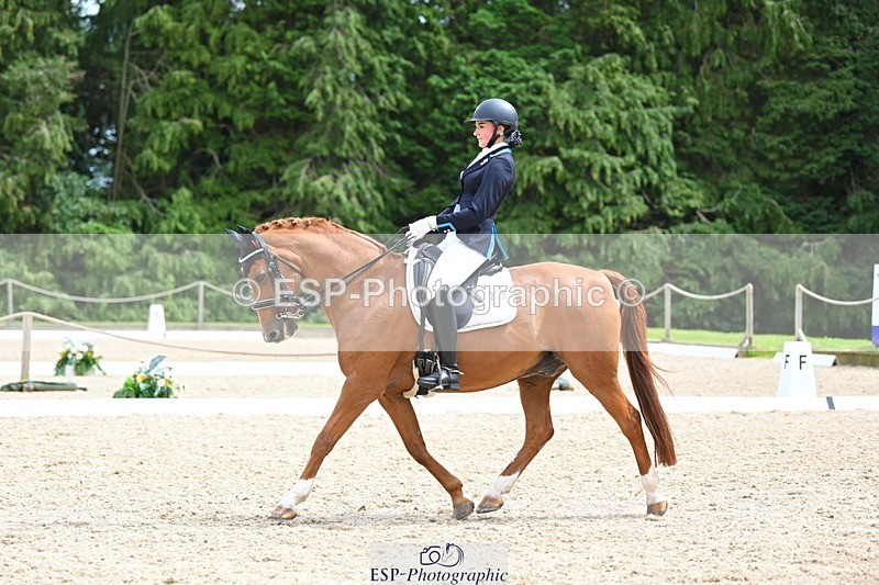 230813-133602-07603 - Cls 13 Medium Bronze 13.15 to End