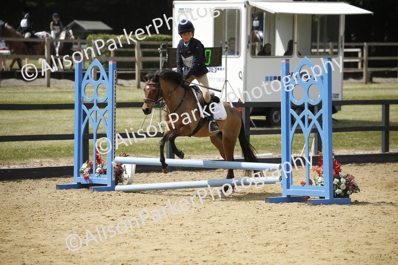 20250622-3954 - 50cm