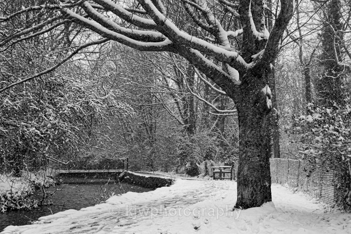 Snowfall - Gallery 6