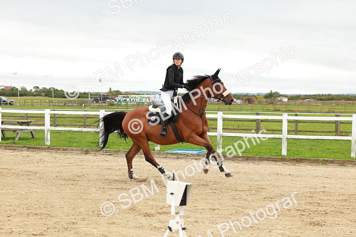 1I0A6876 - Class 2 - Senior British Novice