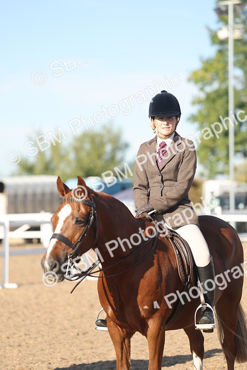 SBM_11049 - Class 302 - Ridden M&M Large Breeds