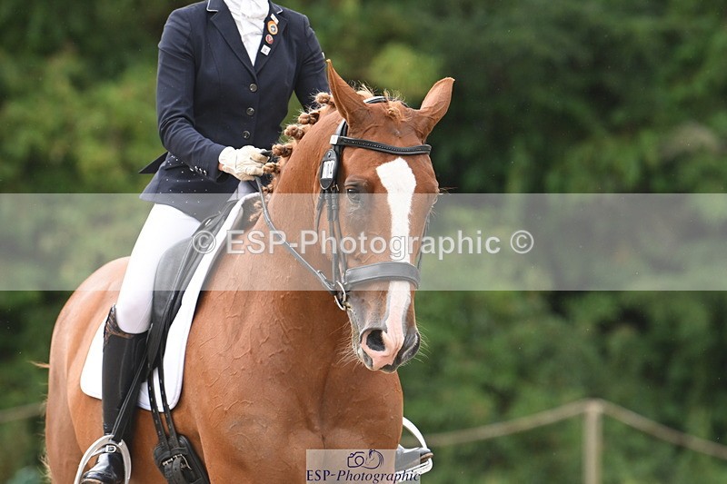 250720A-103534-09612 - 104-Molly.Northmore-Pennmoor.Liberation