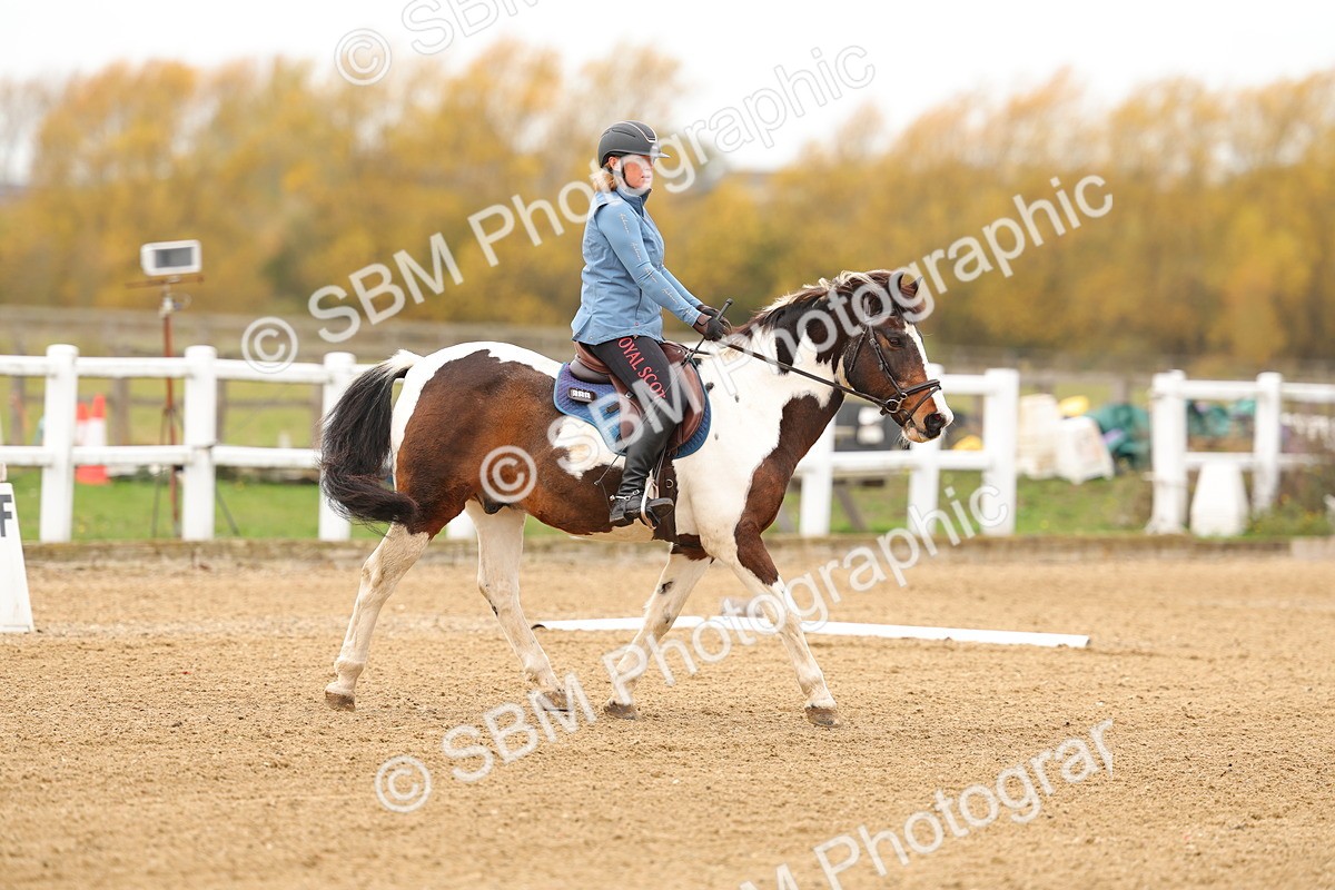 SBM_000195 - Class 2-11 - CT Intro 3 60cm - DR Intro 3