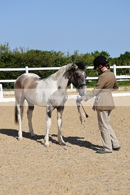 1X9A0708 - Class 3: Youngstock 1, 2, 3 year old not to exceed 153cm