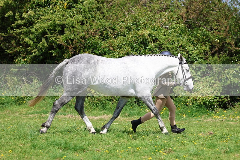 3E7A0452 - Class 20: Sports Horse