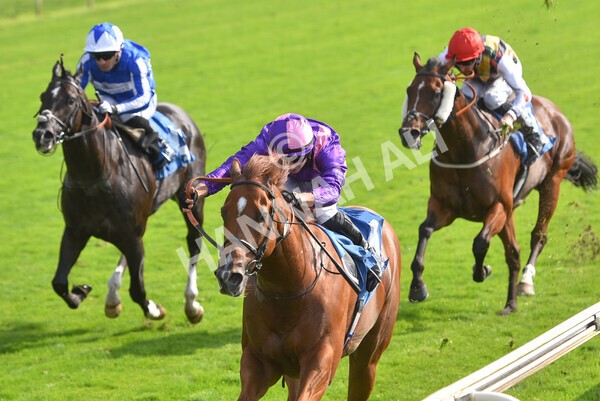 yr05092021r3-19 - Race 3 3.15pm The BioWaveGo Garrowby Stakes