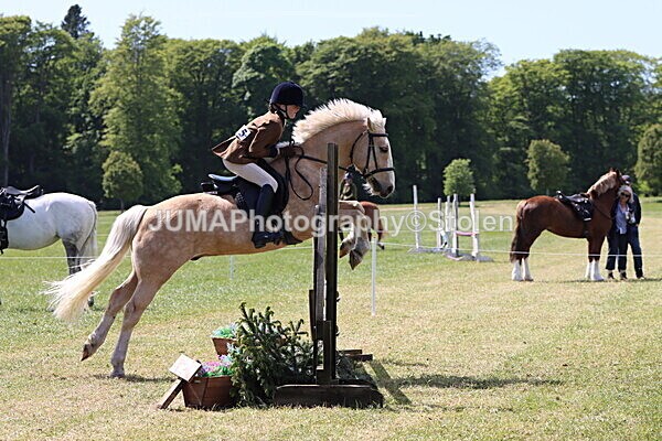 IMG_4242 - Working Hunter