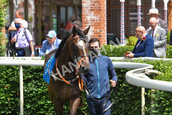 yr11062021r1-31 - Race 1 1.45pm eventmasters.co.uk British EBF Novice Stakes