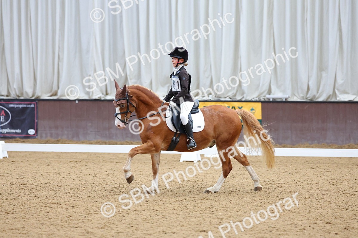 SBM_002965 - Novice