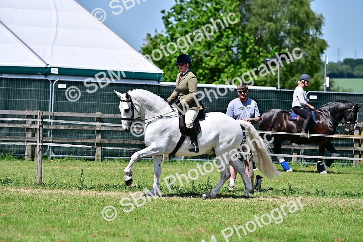 SBM_17486 - Class 95-97 - BSPS LHS Performance Ponies