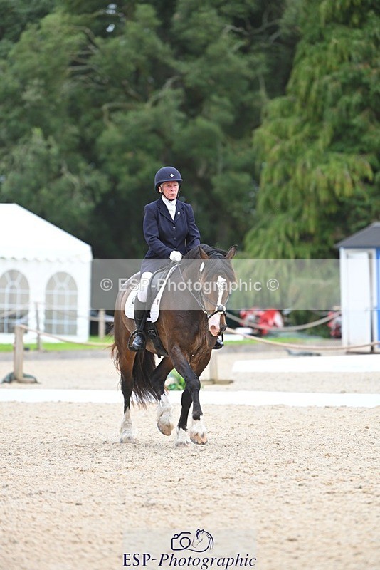 230813-140549-07675 - Cls 13 Medium Bronze 13.15 to End