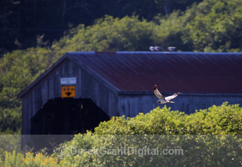 The Covered Bridges of New Brunswick Canada