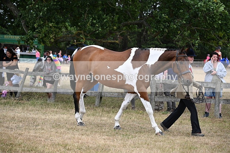 WJ6_8147 - Class 10 Coloured in Hand