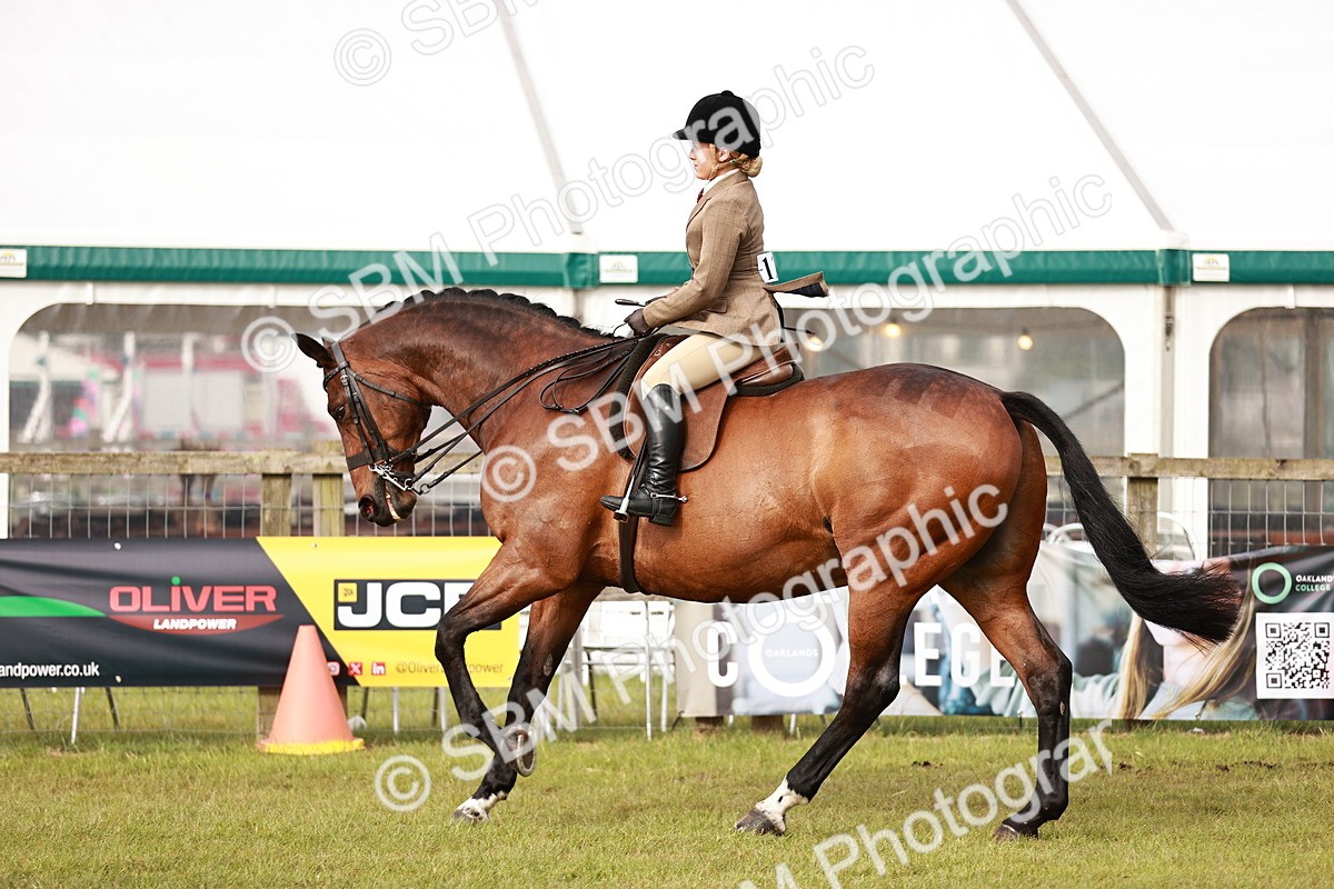SBM_10858 - Class 81-84 - RIHS Ridden hunters Inc Ladies Hunter