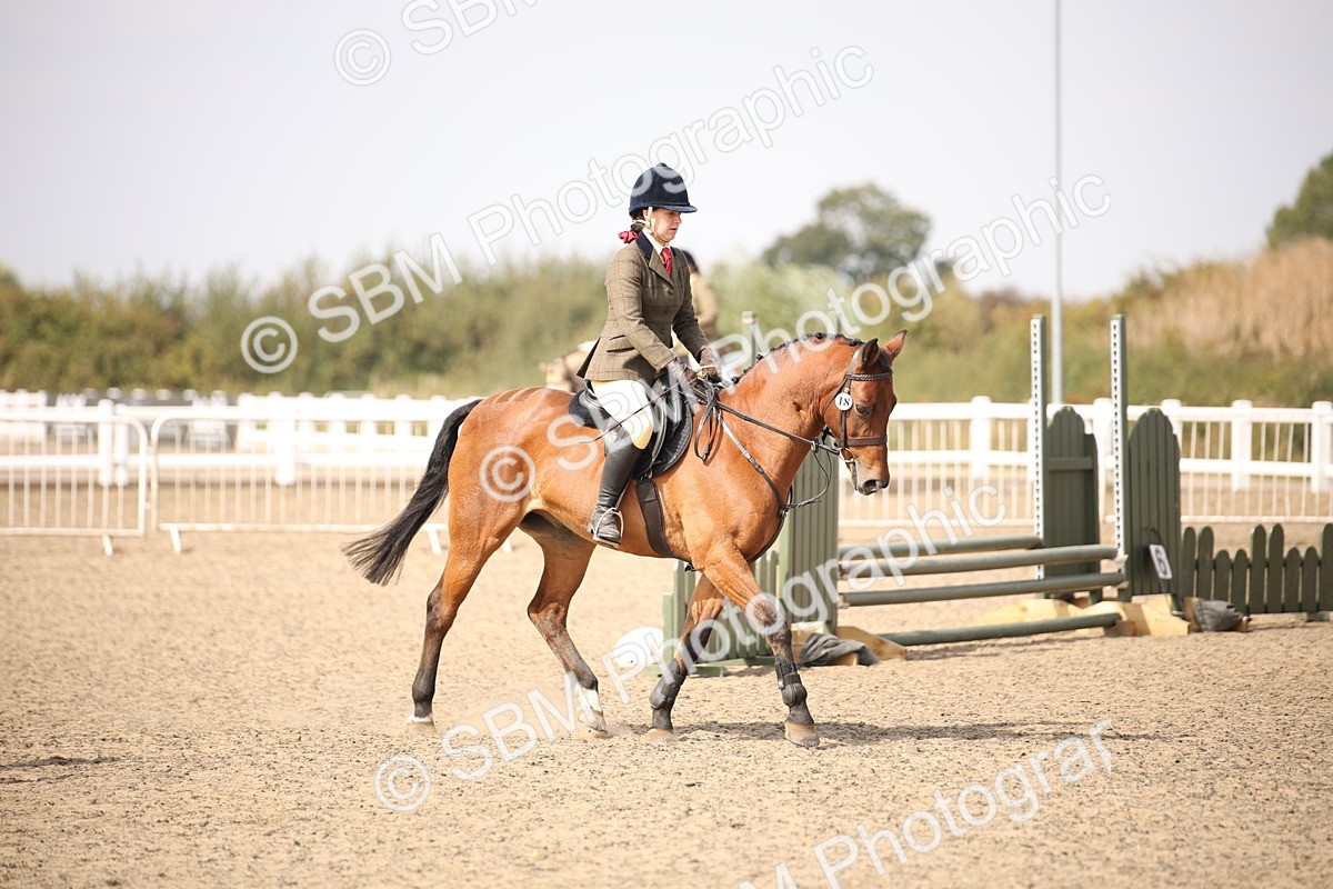 SBM_14136 - Class 407a - Working Veteran 60cm (15-19