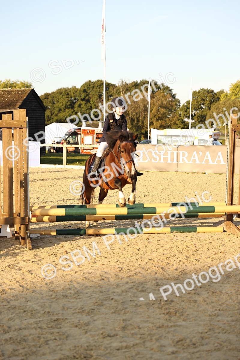 SBM_57077 - J11 - Junior Pony 50cm Championship
