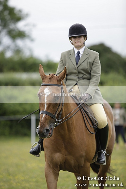 BVR160717-756 - Ring 1 BVRC Show 16/07/17