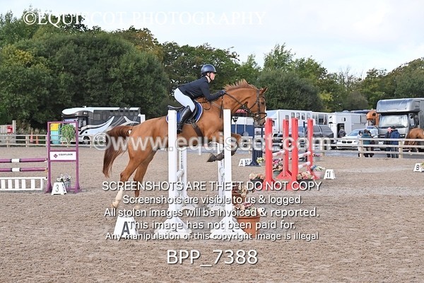 BPP_7388 - CLASS 3 Senior BritiNovice/ 90cm Open
