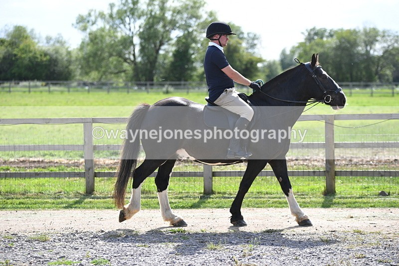 WJ5_7695 - Time 16:40 to 16:55