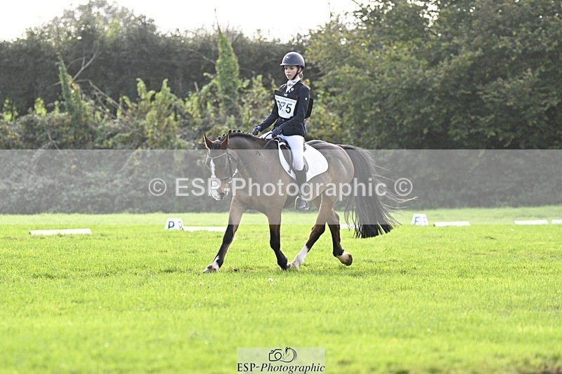 241025-121304-07042 - 375-Erin.Brown-50.SHADES.OF.BAY