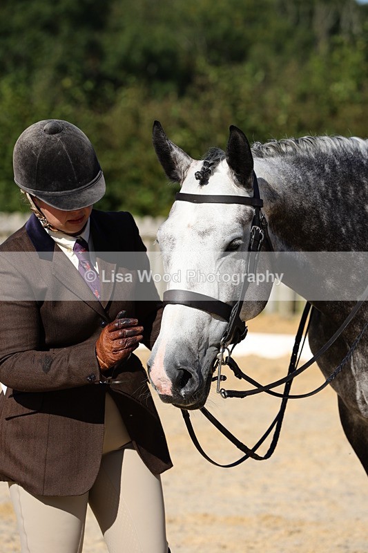 1X9A7688 - Class 8: Small Ridden Hunter