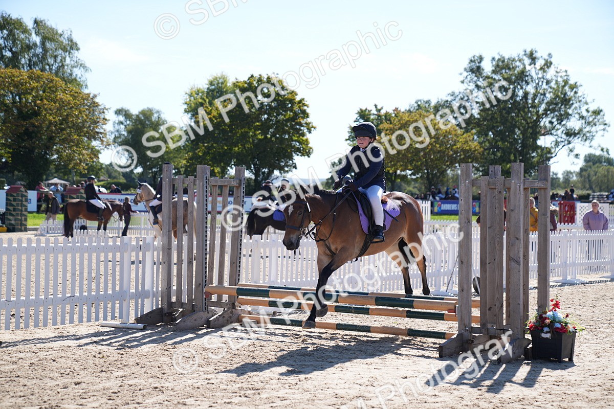 SBM_19445 - J57 - Clear Round 50cm