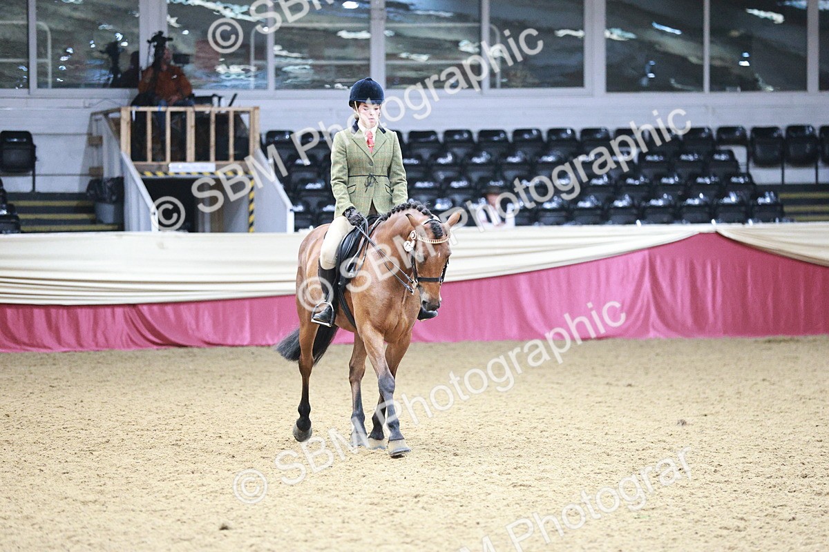 SBM_03547 - Class 6A Area Ridden Pre-Vet