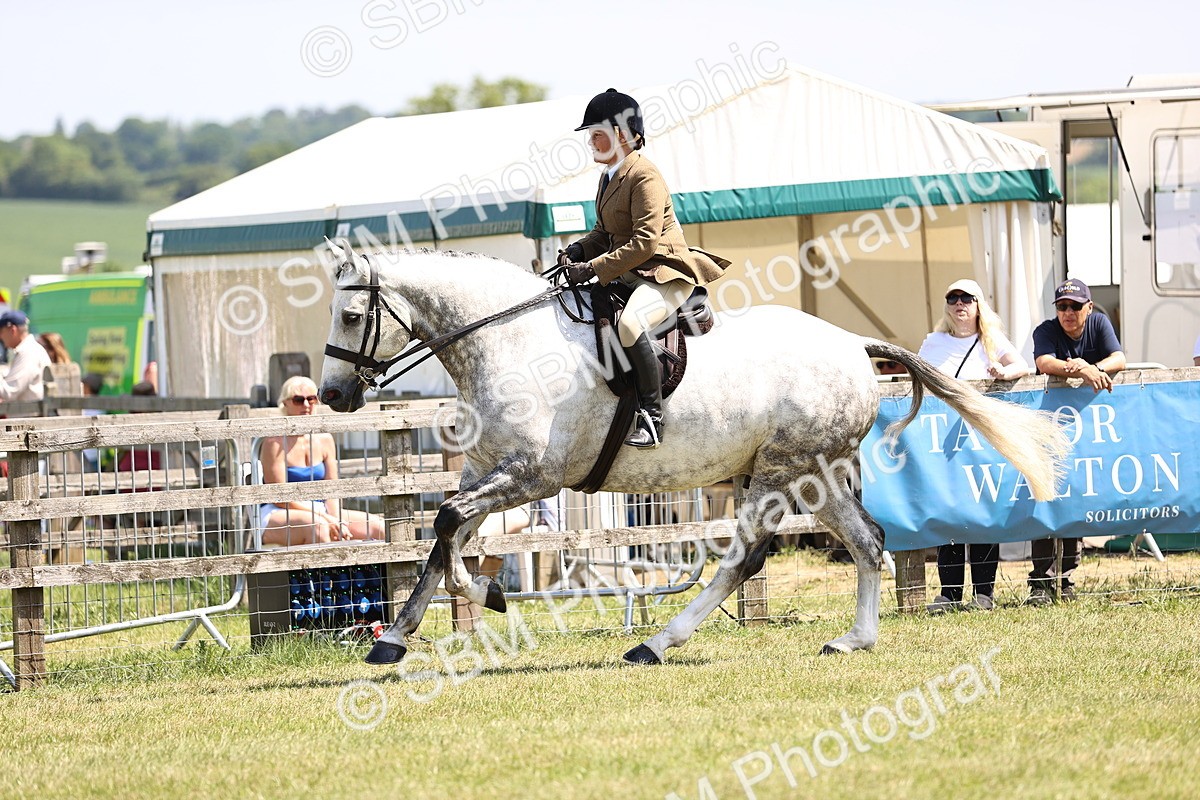 SBM_15158 - Class 79-80 - LIHS BSHA Rising Star Ridden Hunter
