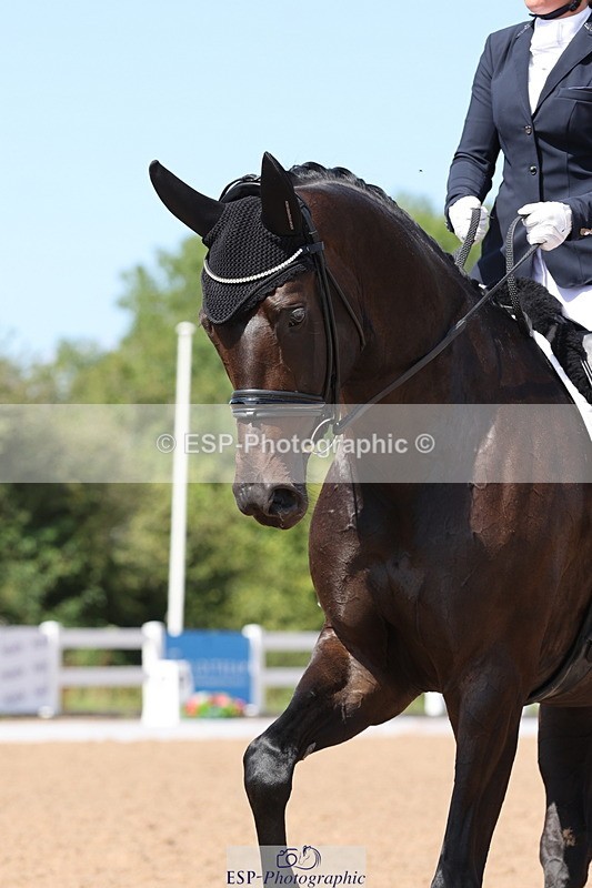 240816A-141558-05320 - 270-Tamara.Egglestone-OLINDE