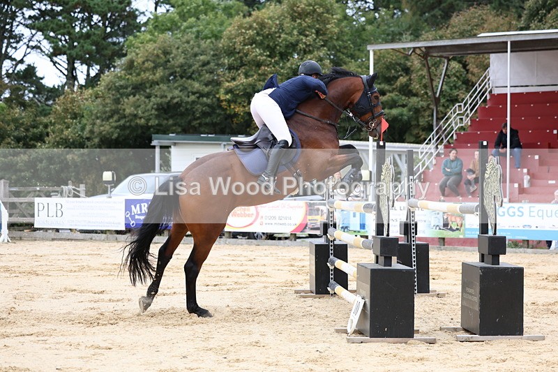 3E7A3453 - Class 9: Senior Foxhunter/1.20 open