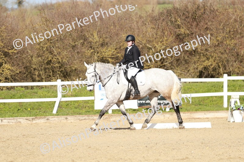 20260314-4487 - DR4 - Prelim 2