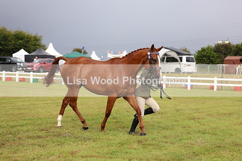 3E7A7903 - Class 1: Rising Star Small Hack/Riding Horses