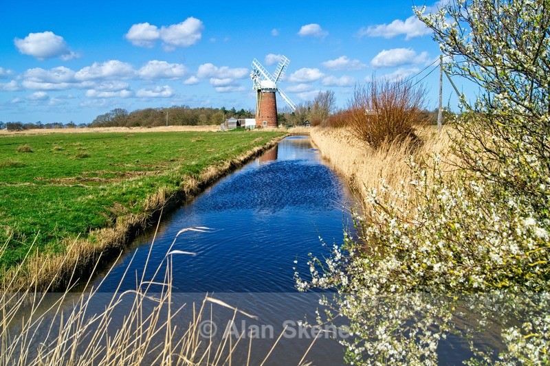 DSC02890 - Norfolk