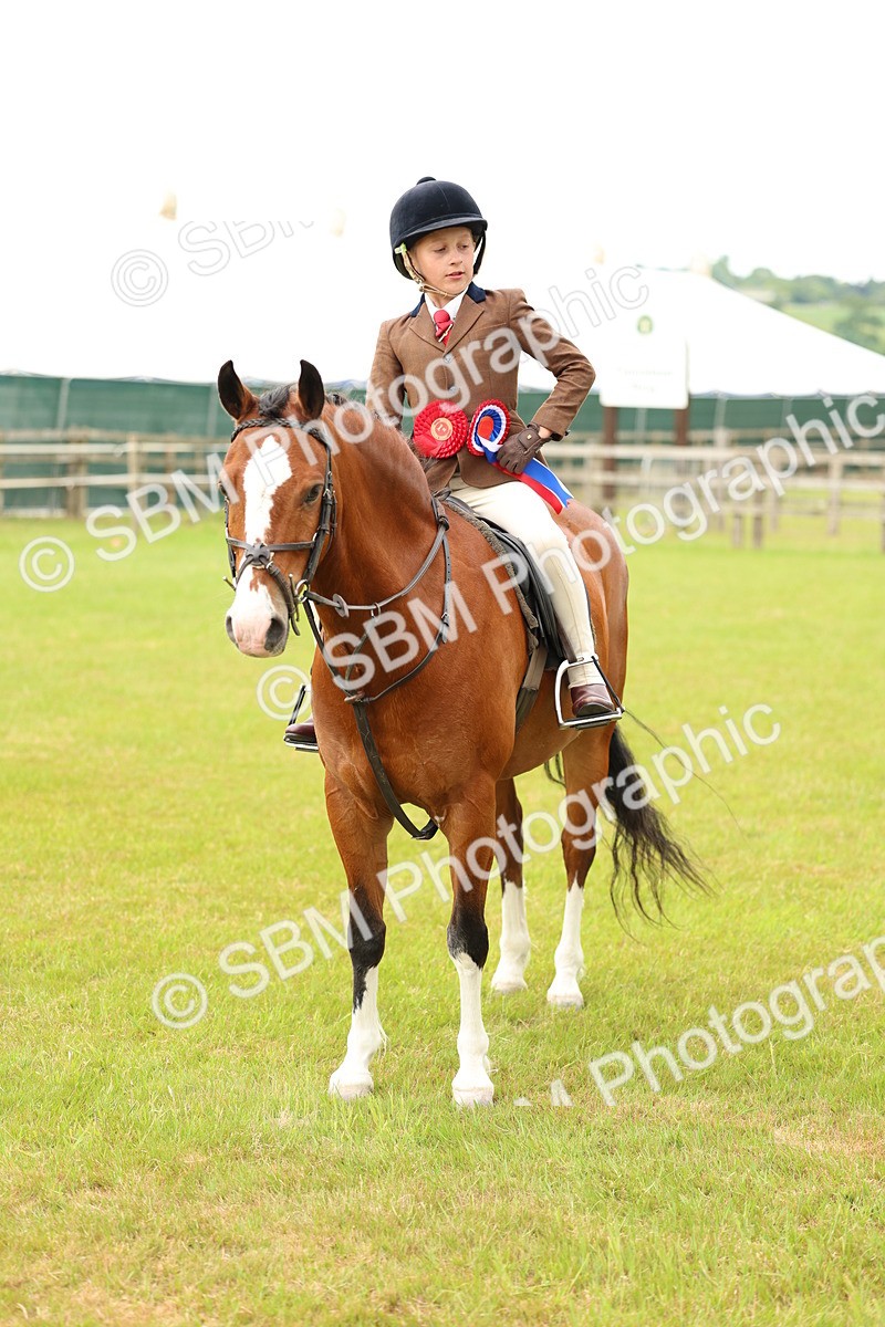 SBM_10429 - Class 44-45 - LIHS BSPS Open Nursery and Cradle Stakes