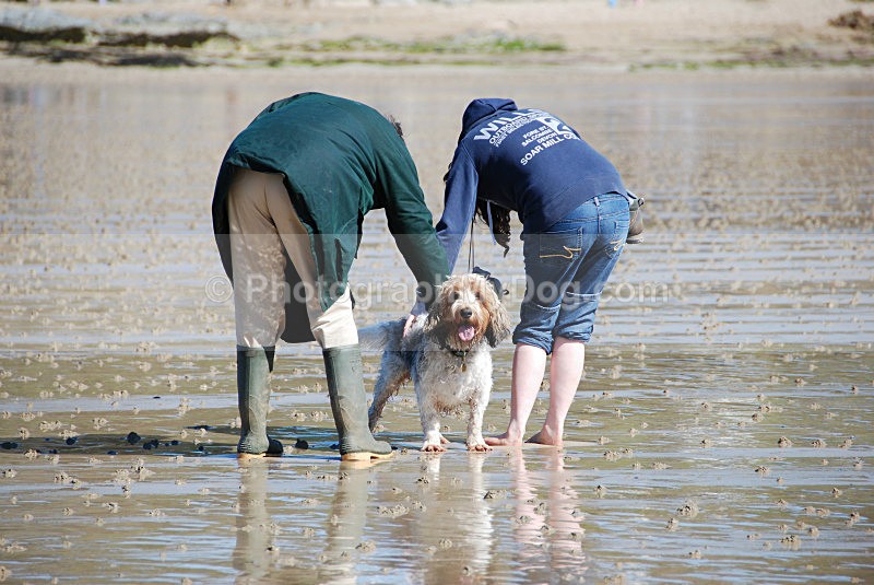  - Man's Best Friend