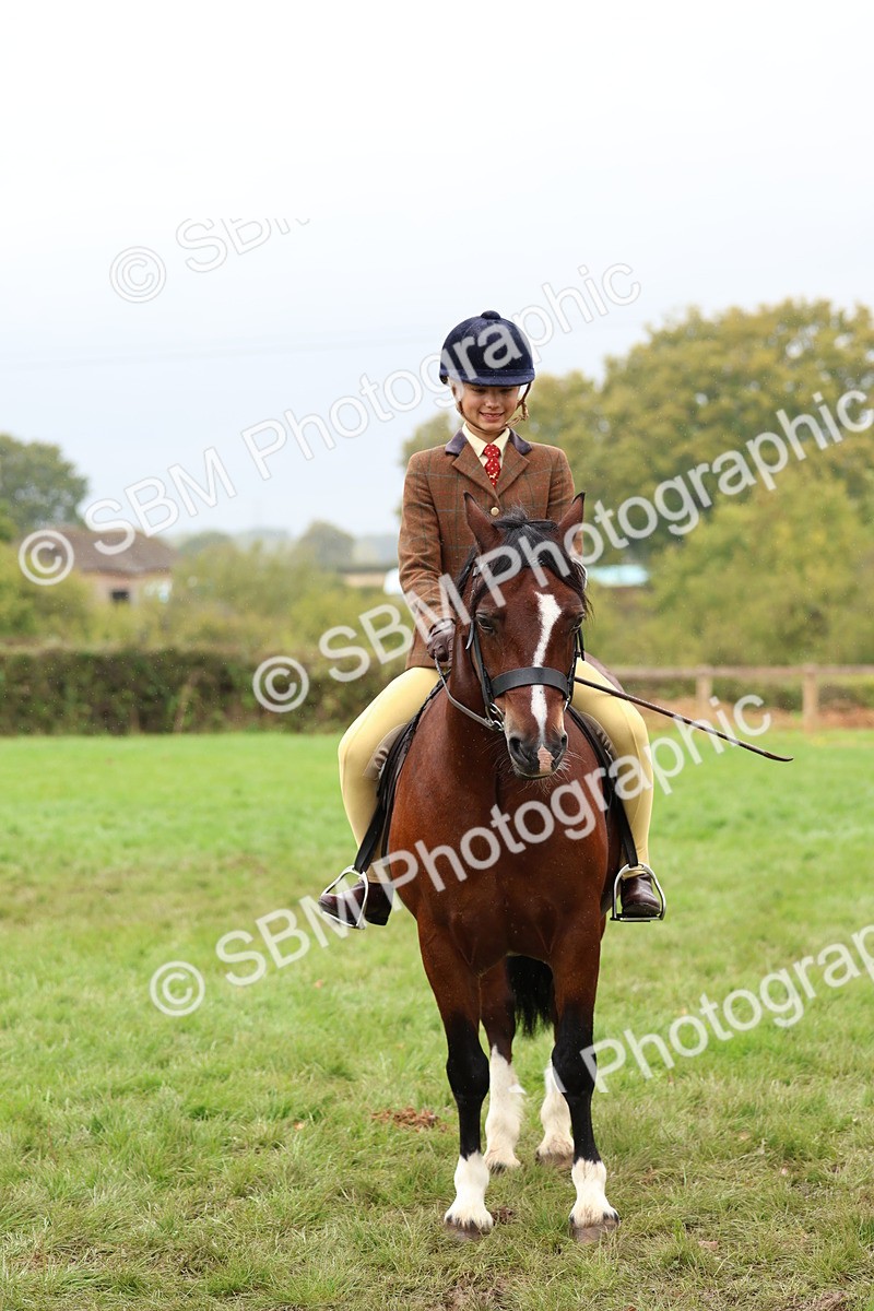 SBM_69627 - S62 - Mountain & Moorland Ridden Large Breeds